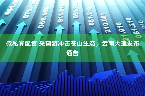 微私寡配资 采菌游冲击苍山生态，云南大理发布通告