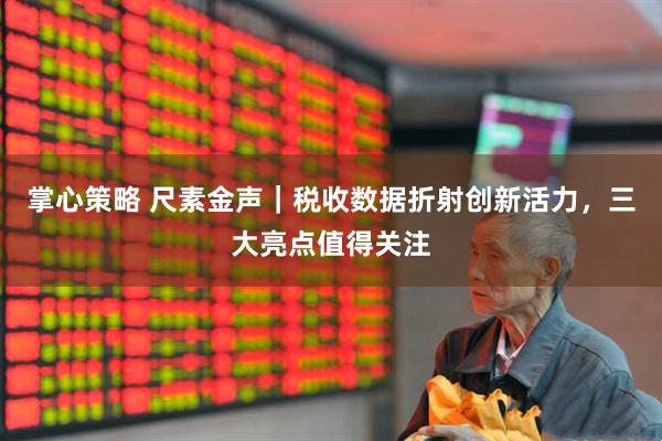 掌心策略 尺素金声｜税收数据折射创新活力，三大亮点值得关注